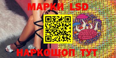 jwh Краснодар