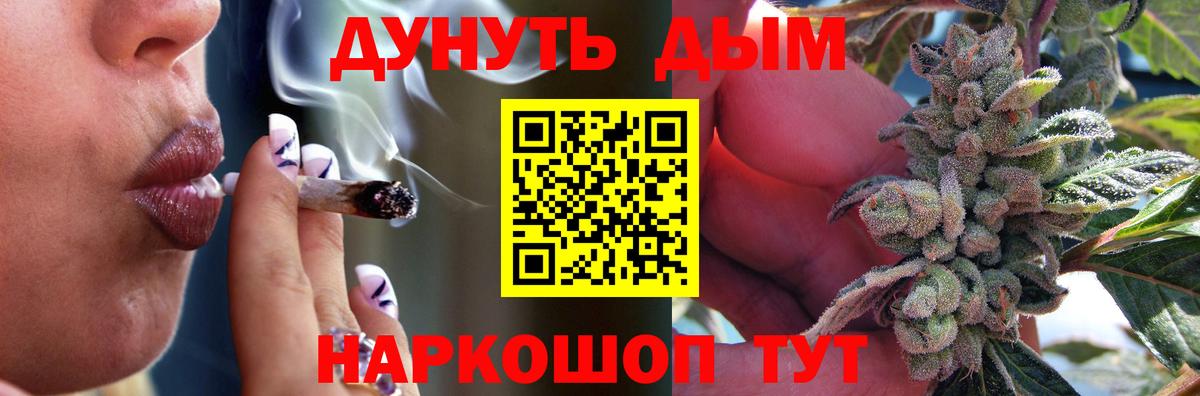 Бошки марихуана Bruce Banner  МАРИХУАНА гибрид  Изобильный  Вход с VPN  Марихуана сатива 
